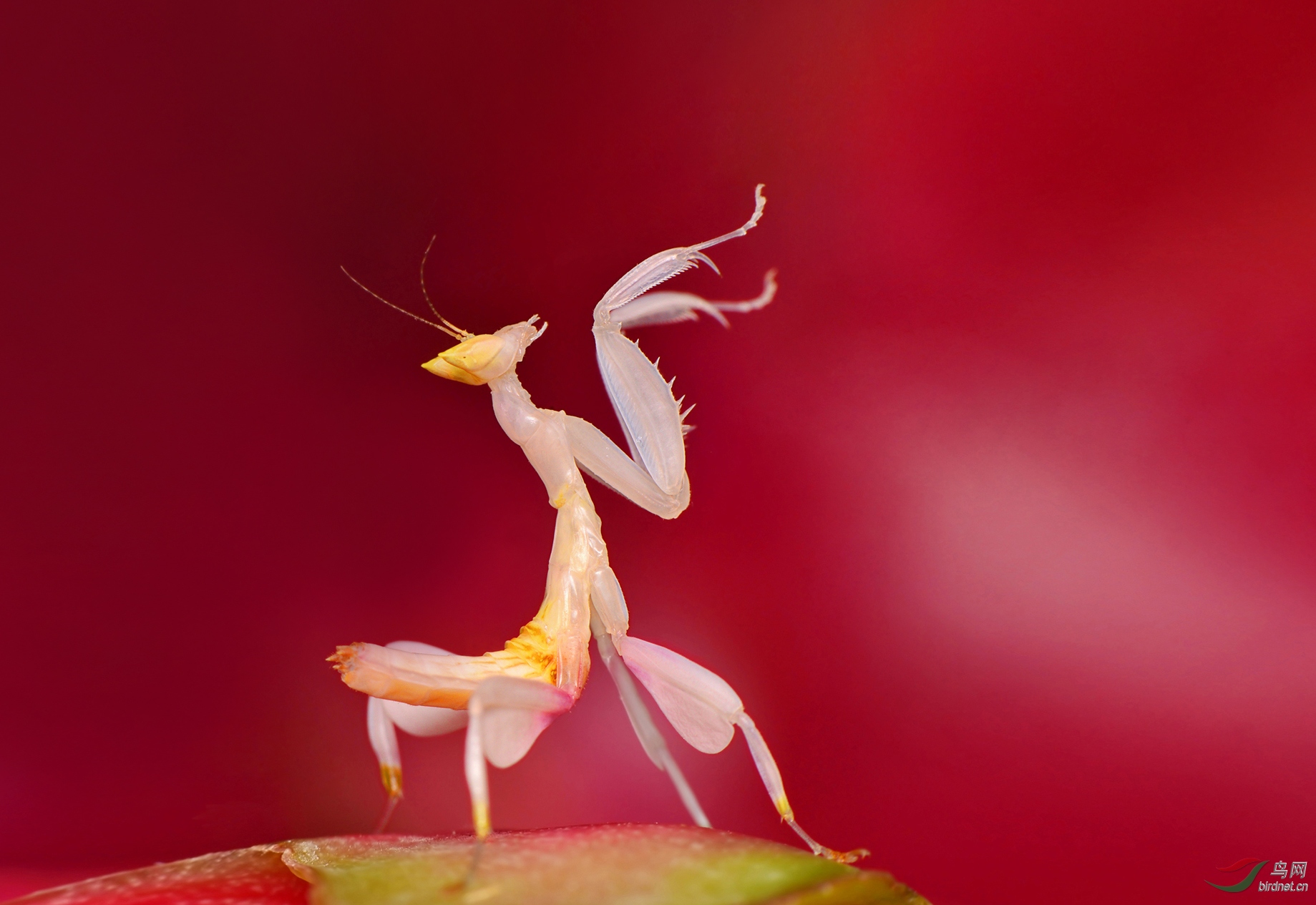 DSC_3990 �������� ��������.jpg