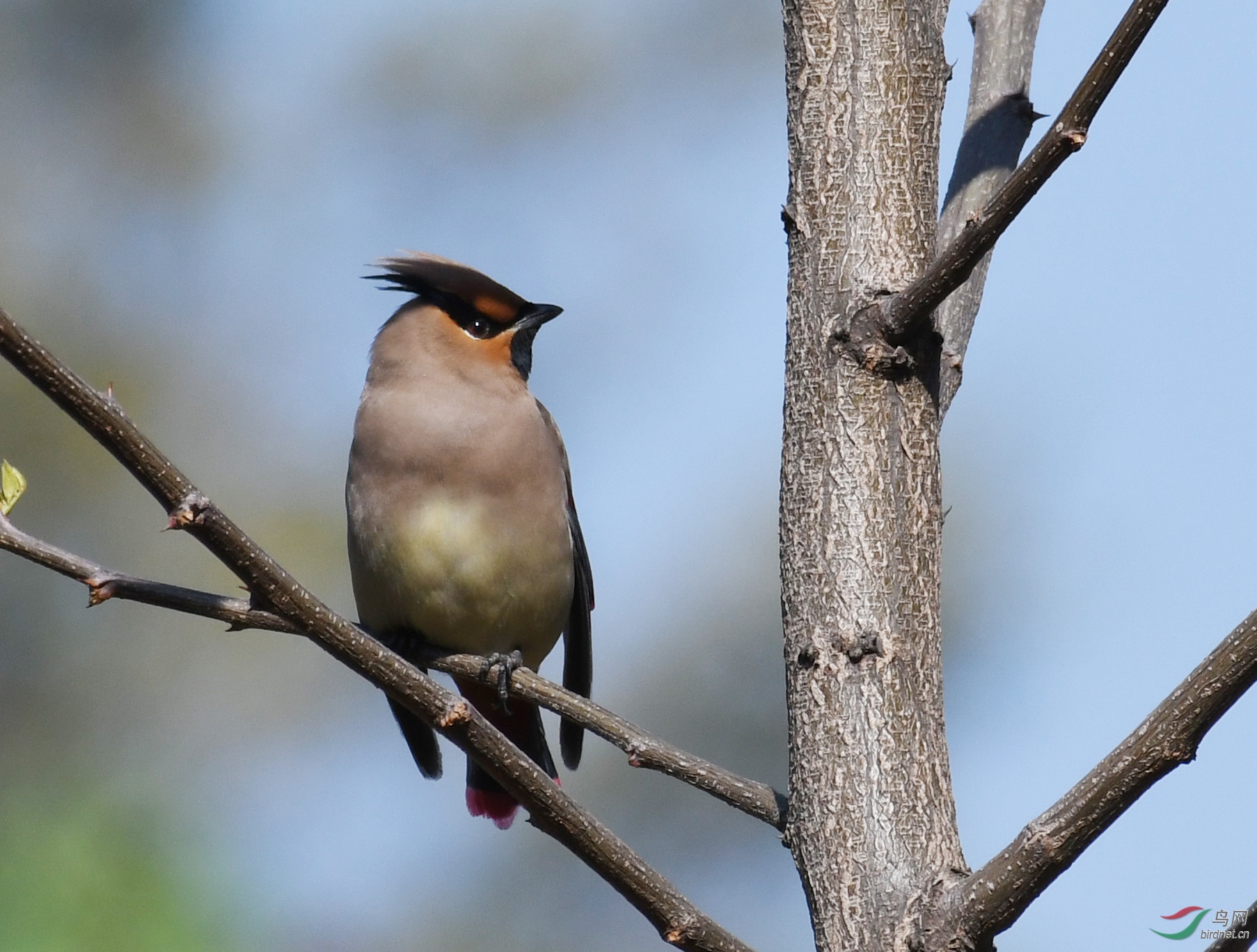 ������Ӱ 377����.jpg