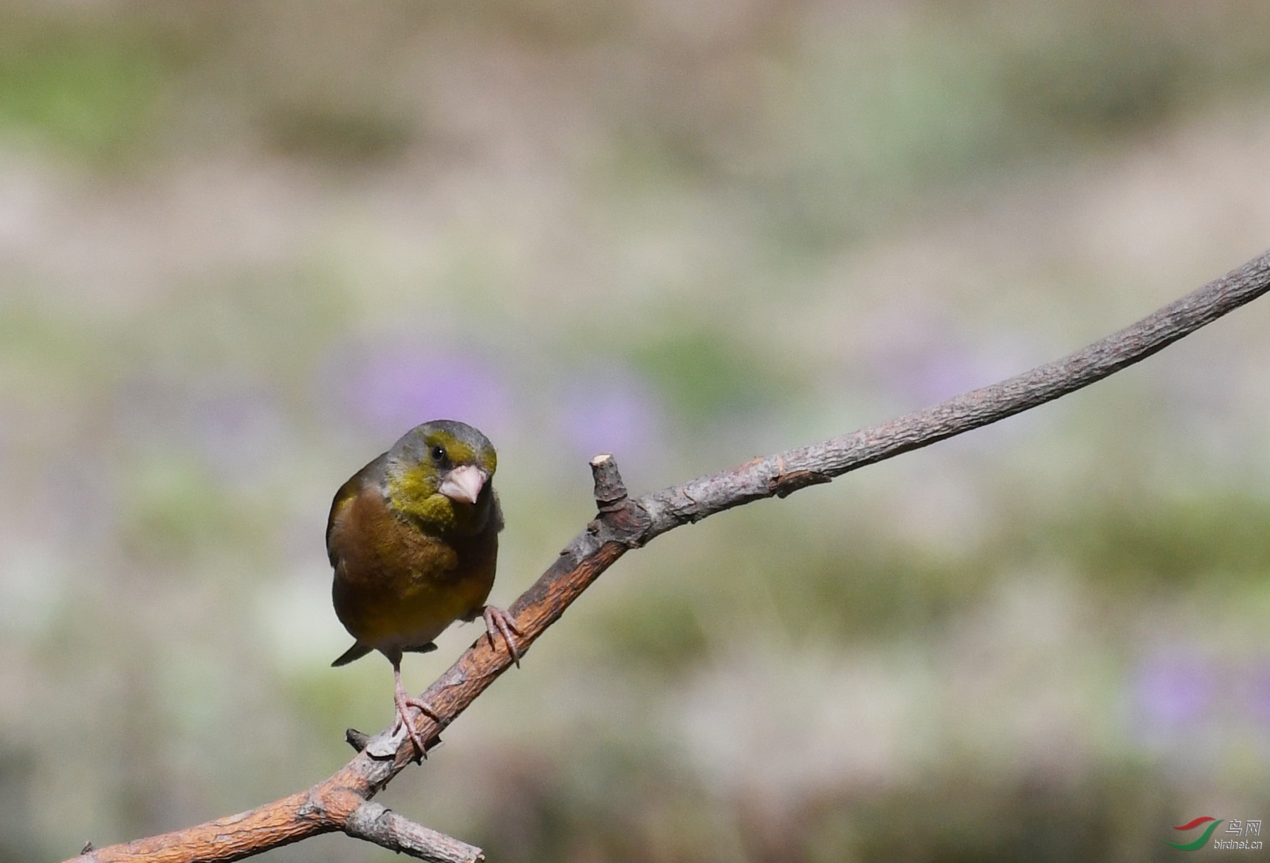 ������Ӱ 329����.jpg