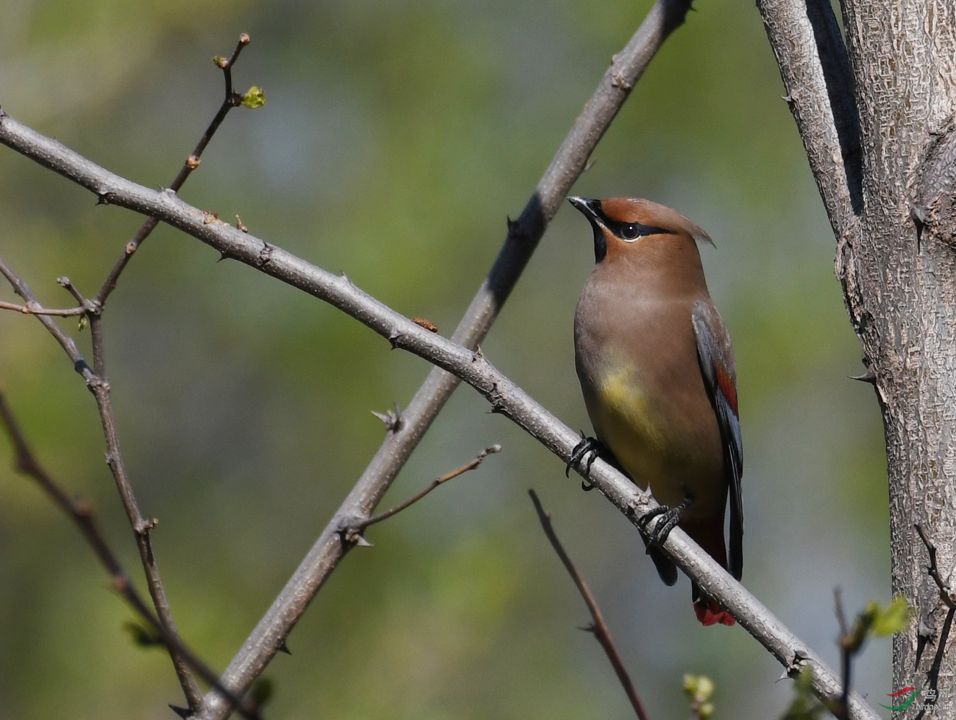 ������Ӱ 362����.jpg