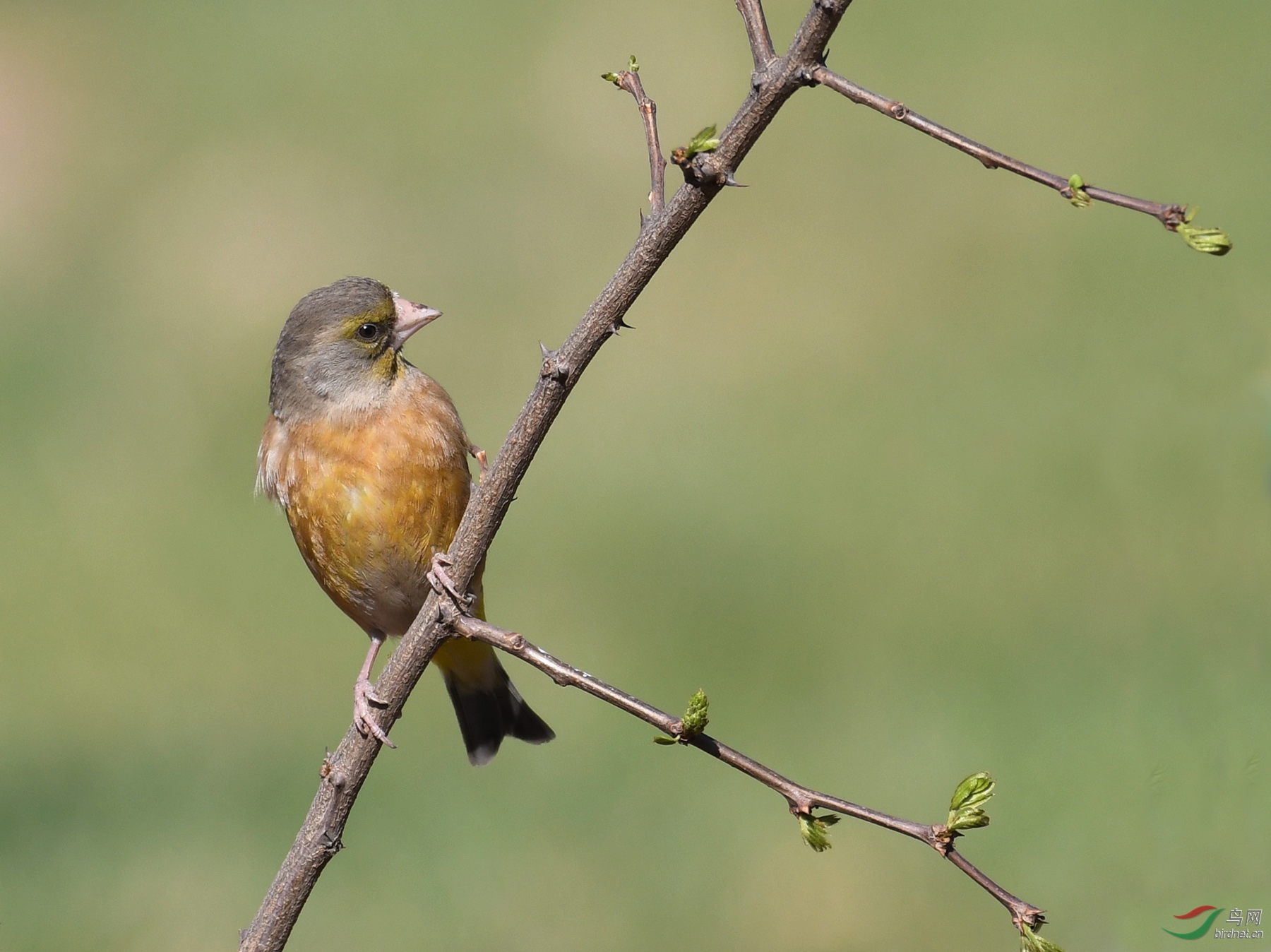 ������Ӱ 685����.jpg