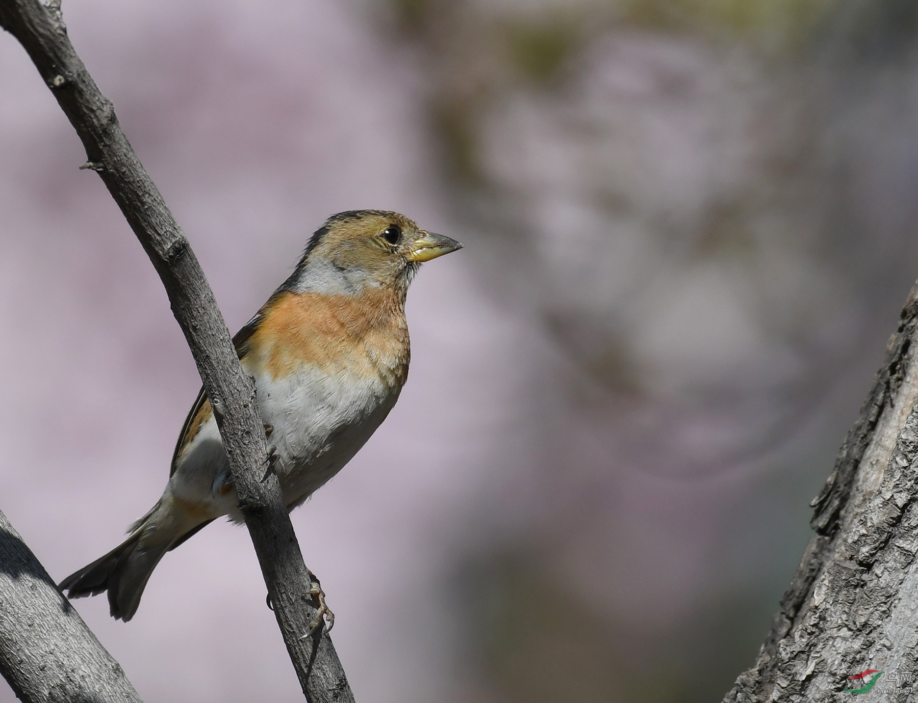 ������Ӱ 252����.jpg