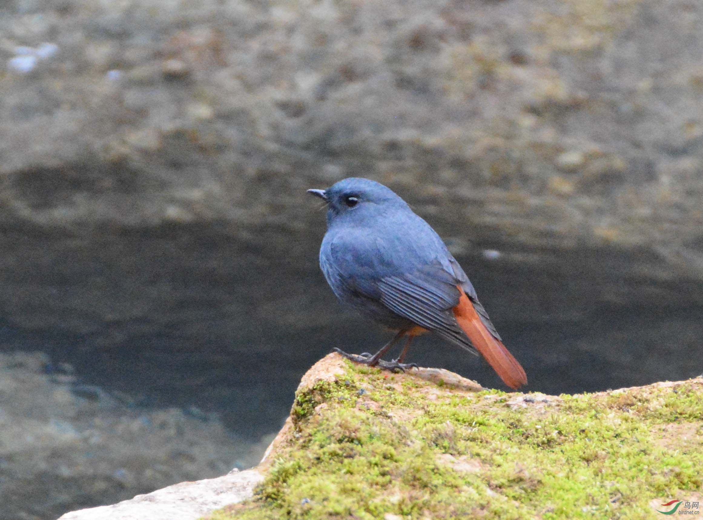 DSC_44541.jpg