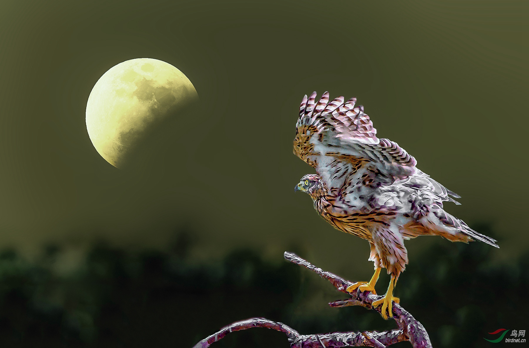 DSC_2463_����_����_����_����_���� (5)_����_����_����.jpg