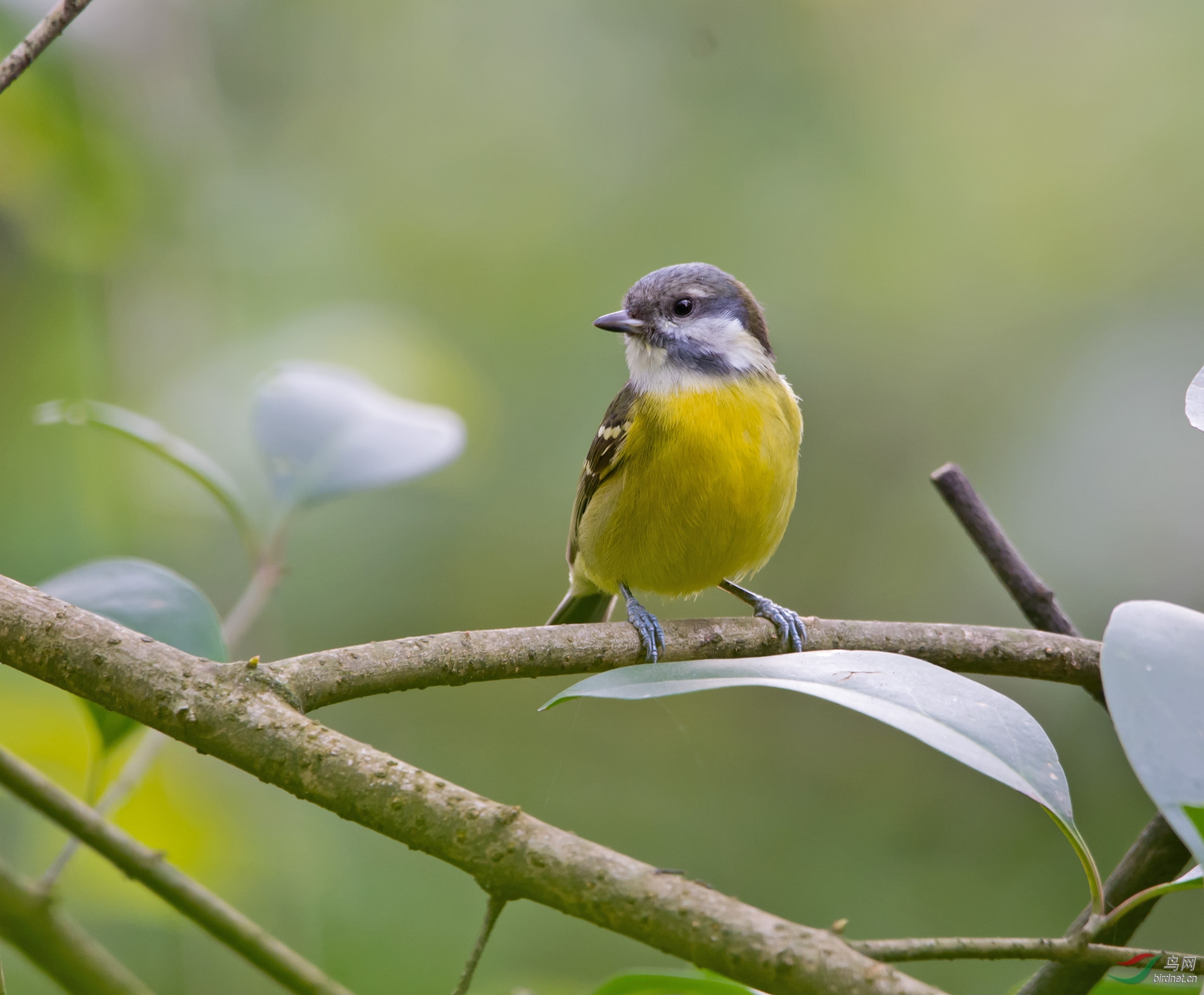 DSC_5343.jpg