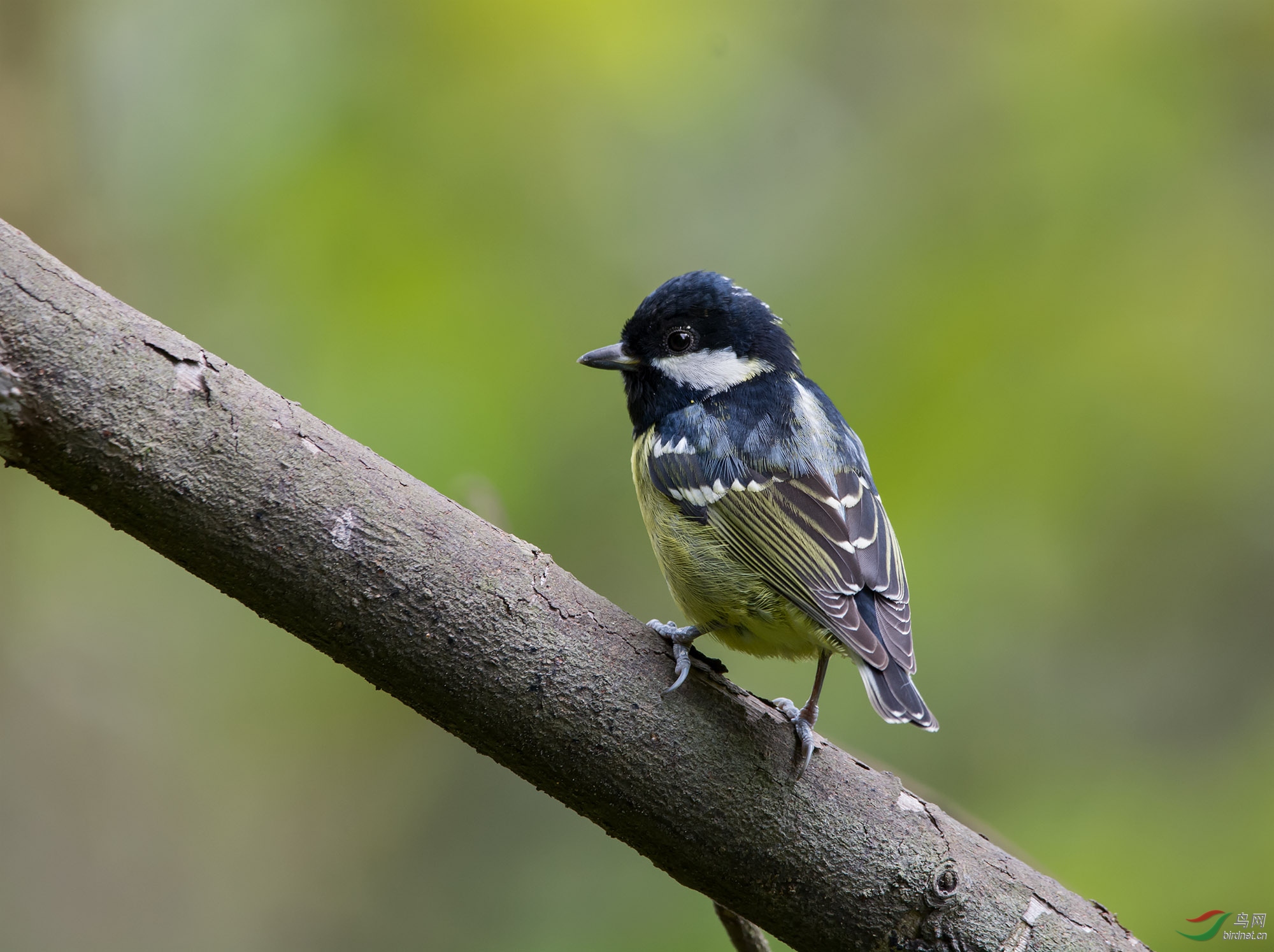 DSC_5356.jpg