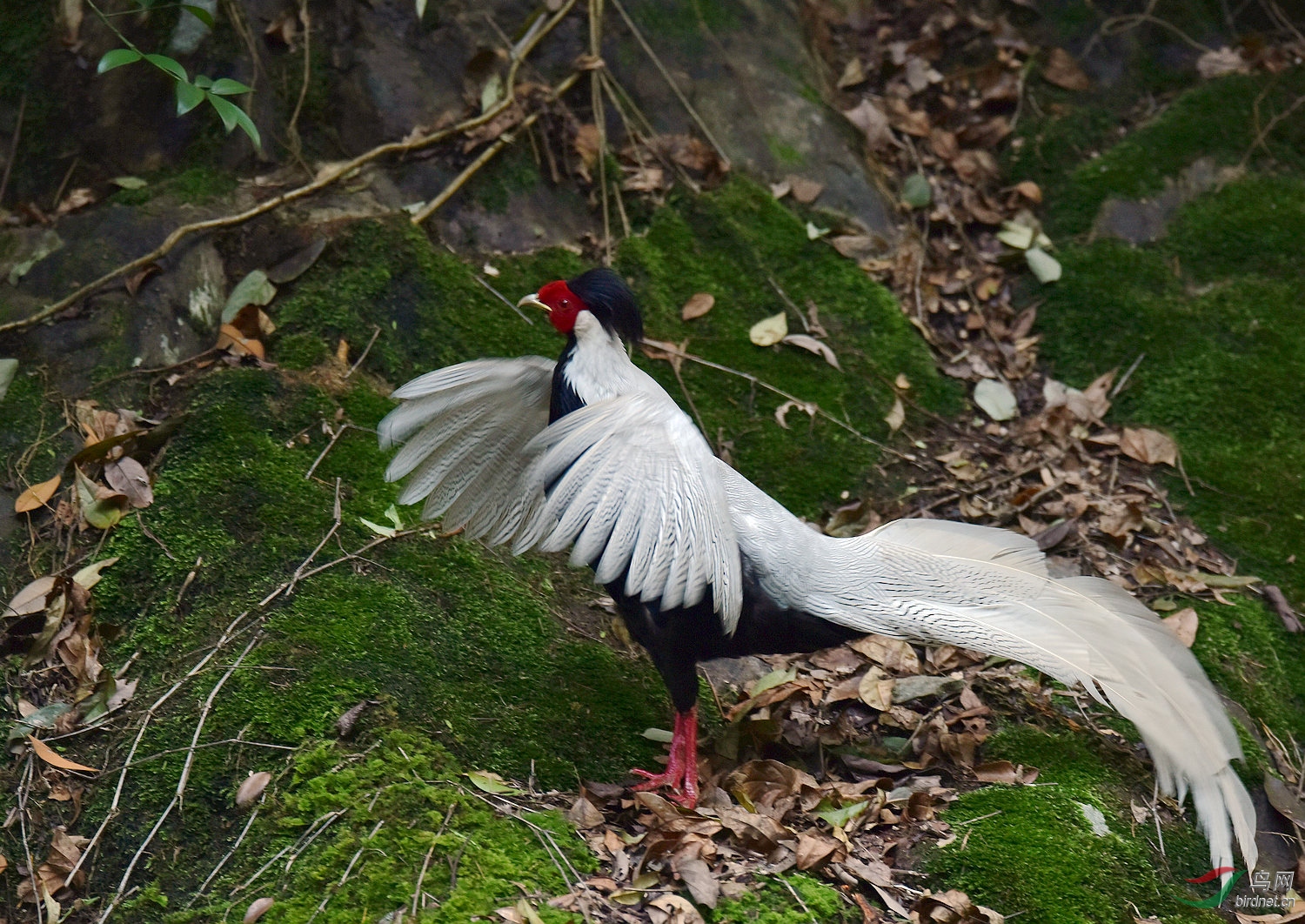 D8I_1050.jpg