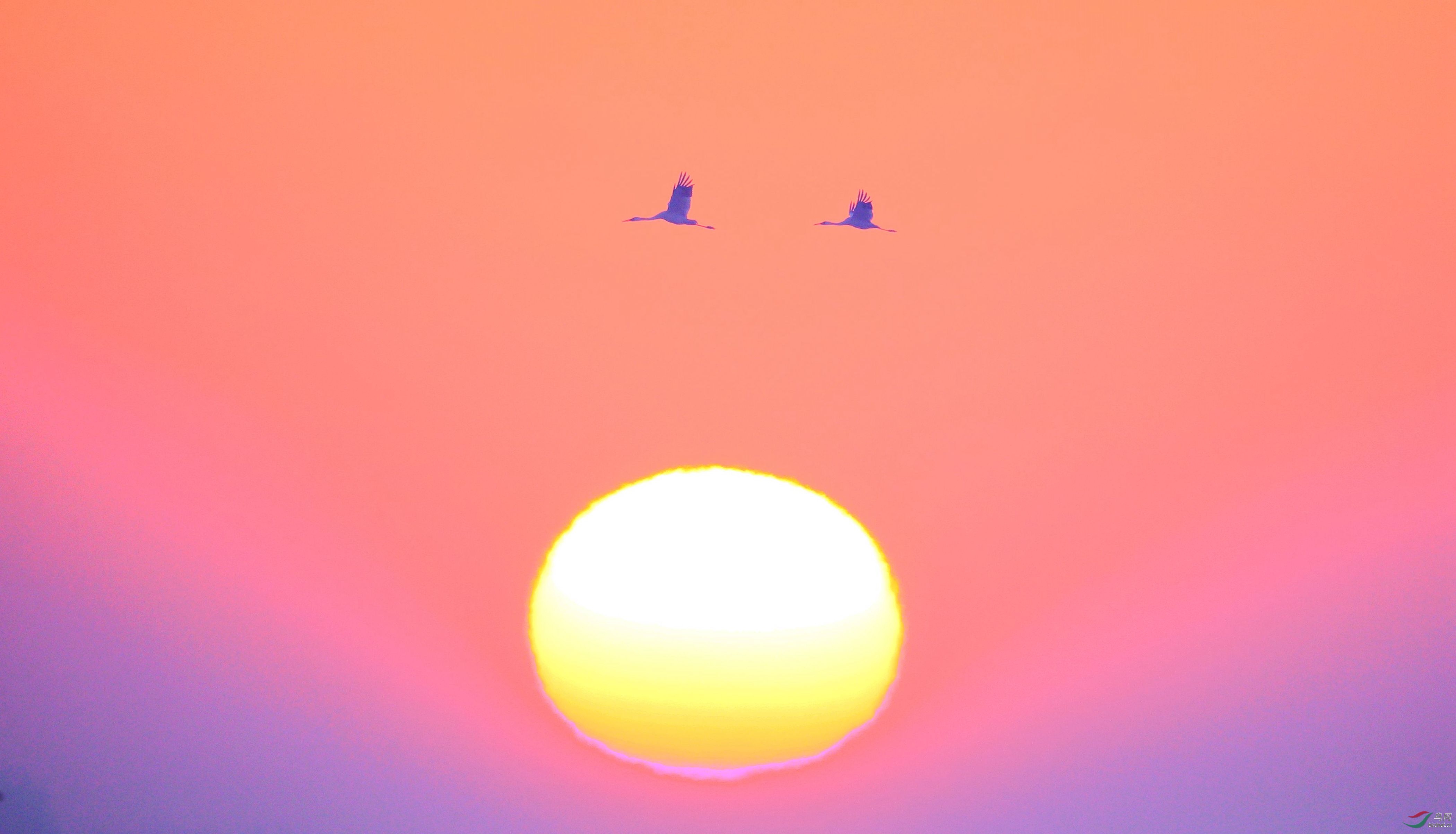 ���賯�� (2).jpg