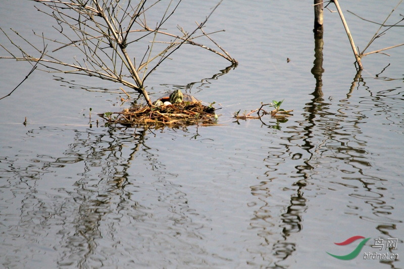 5��һ�죬�����������ڹ��ַ�С�G�f����ġ���ء���ǿռ���񳲣����Ƿ·���������ְ���  ...