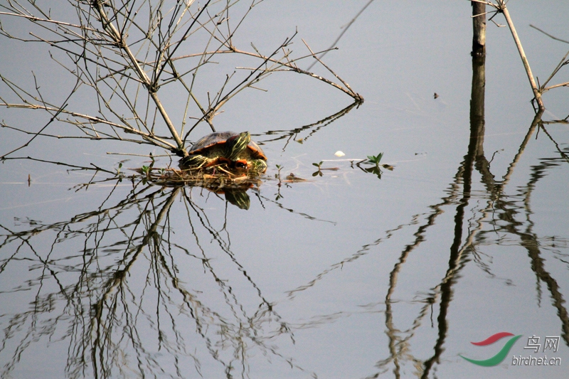 7�����������ˮ���ϴ��ڹ�����Ʈ�����棬Ʈ����У����Ƿ·�������СС�G�f������ҵ�  ...