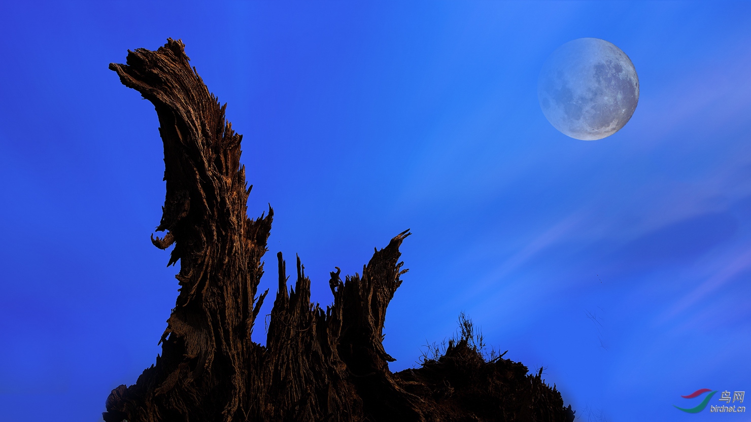 2S6A7288A.jpg