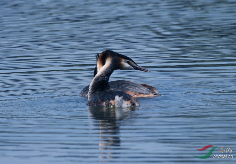 6I4A0414.JPG