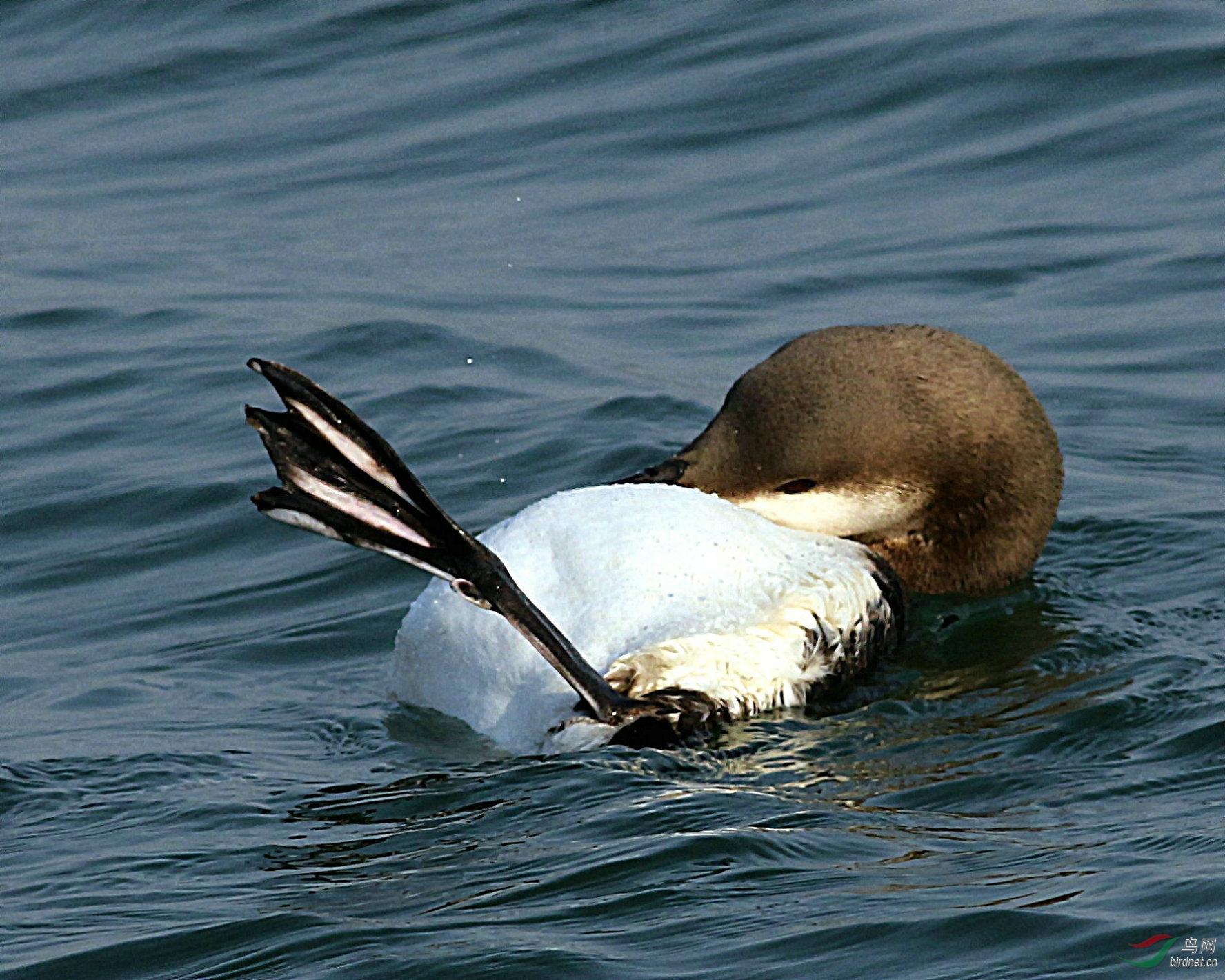 2V1A9697_���� - ����.jpg