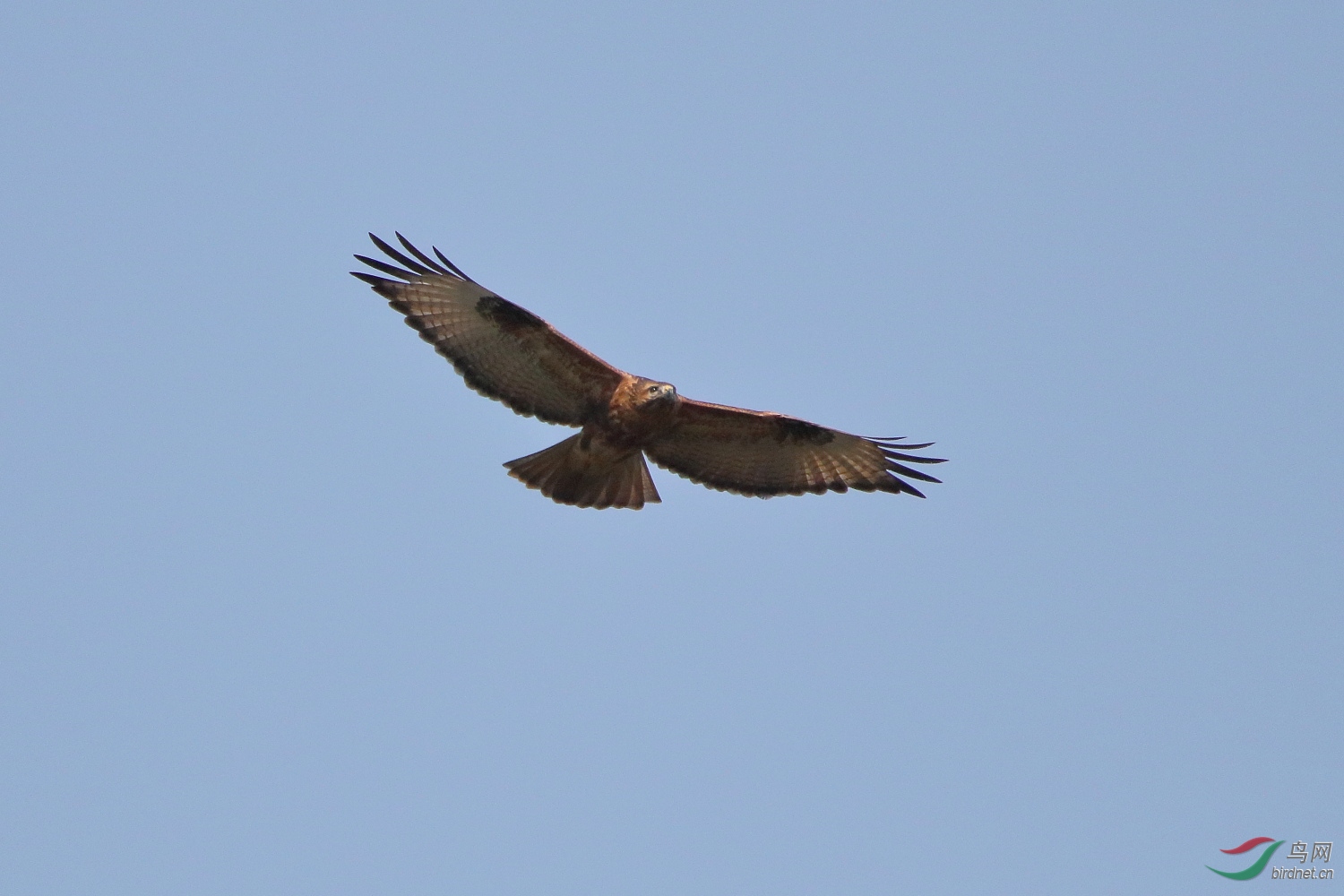 IMG_6072.JPG