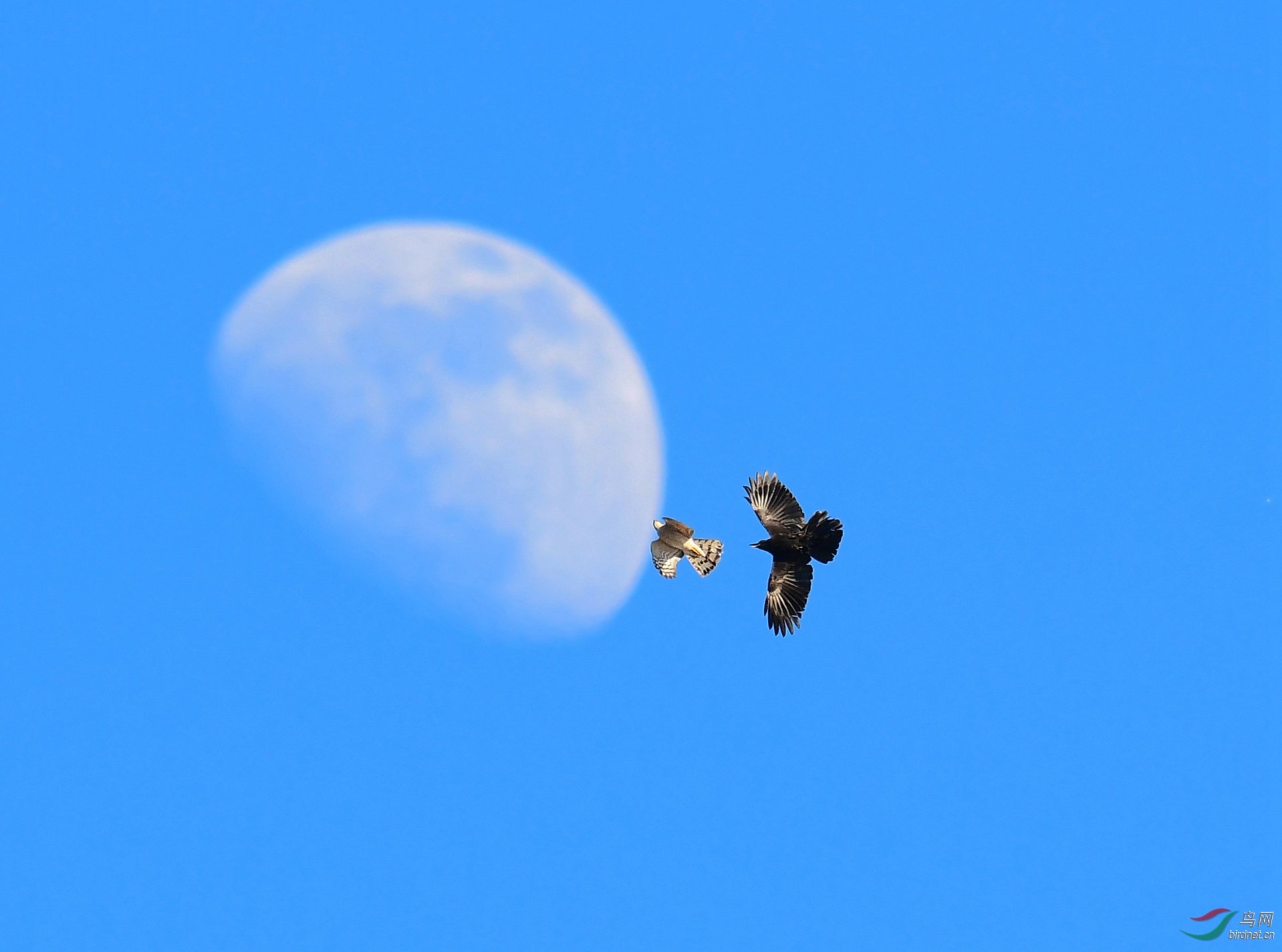 DSC_7350.JPG