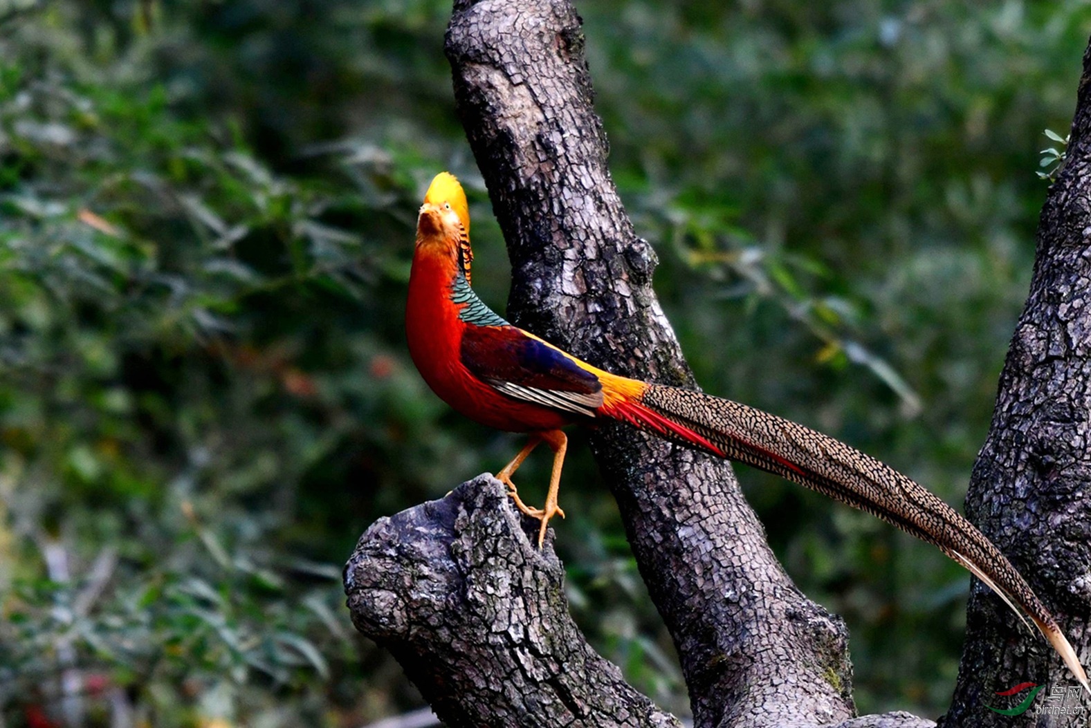 �츹���� 123.JPG