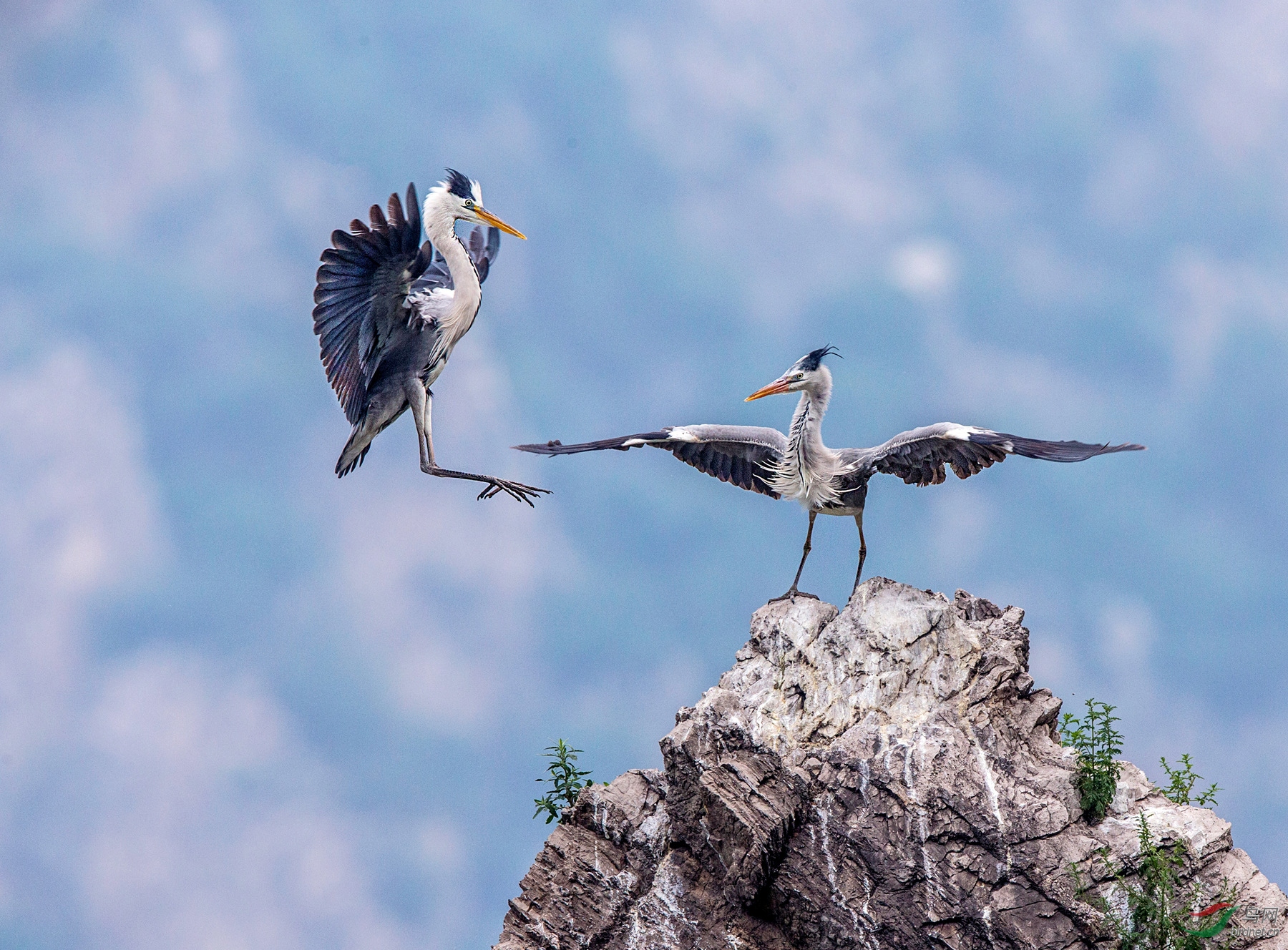 BW4Q7661 - ����.jpg