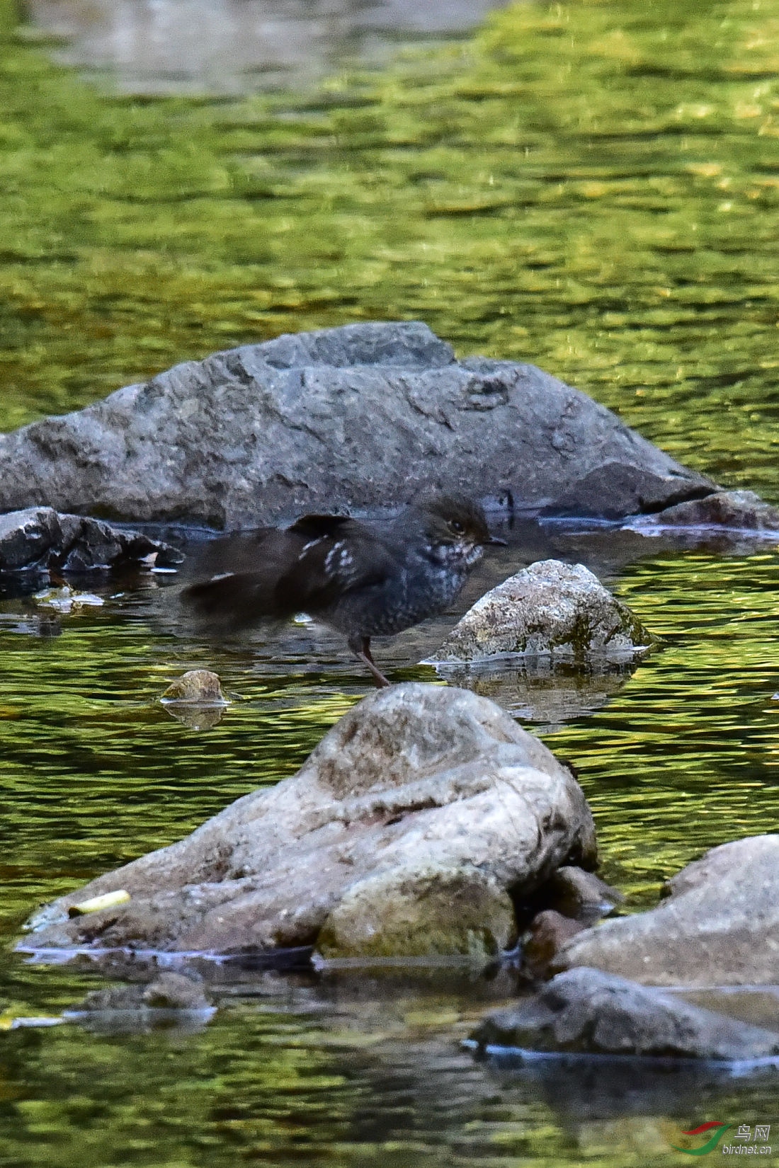 DSC_0957.JPG