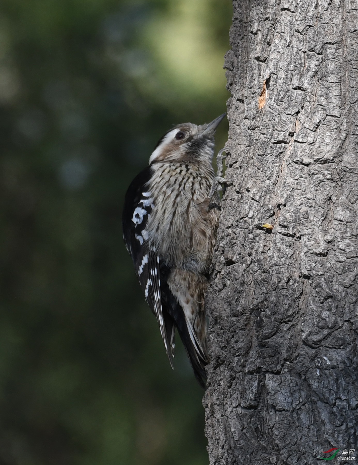 ������Ӱ 019����.jpg