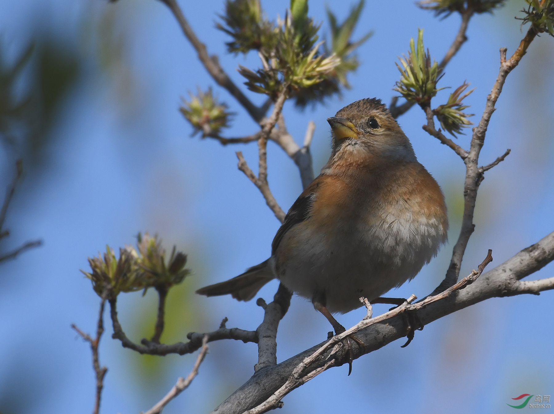 ������Ӱ 097����.jpg