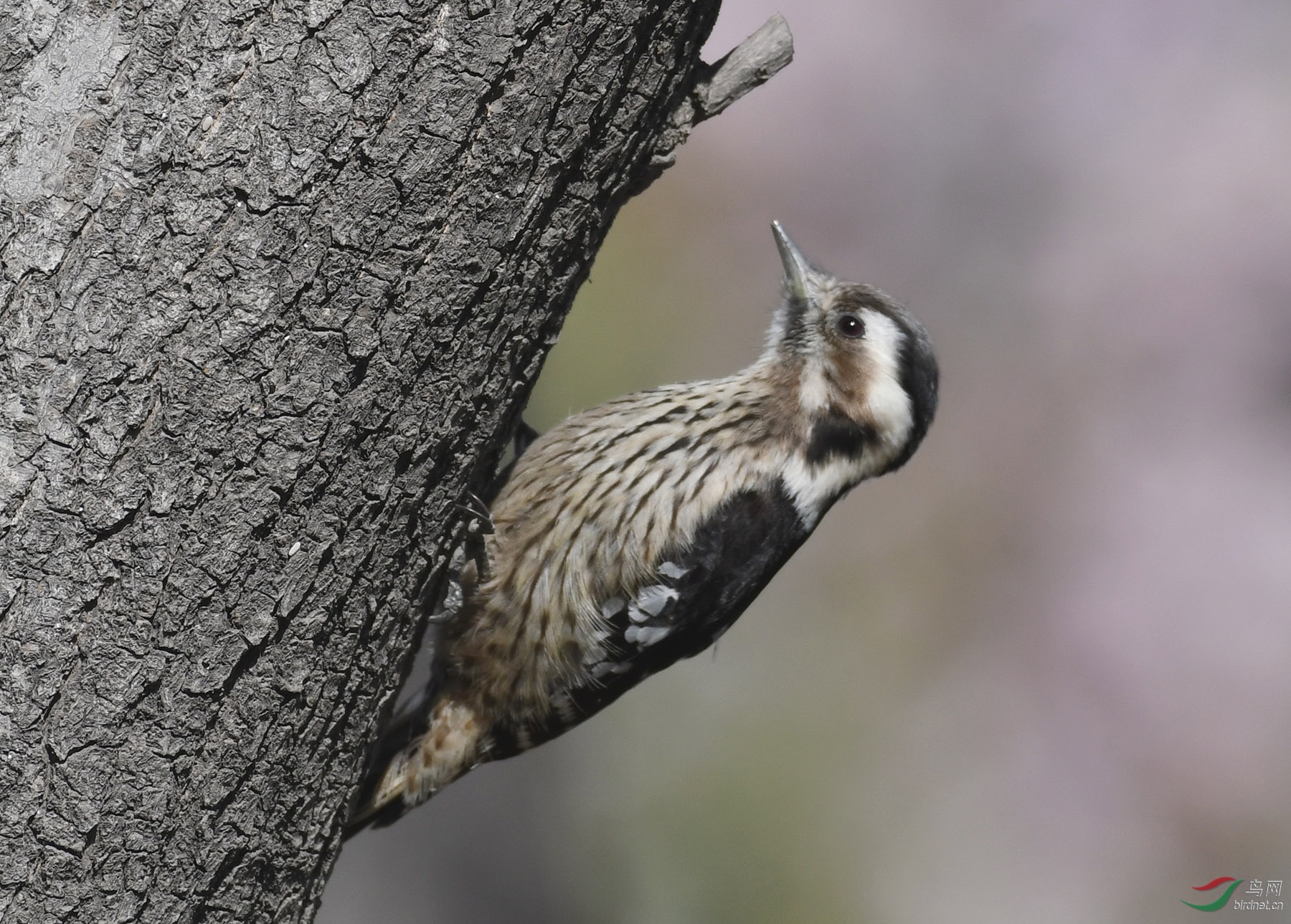 ������Ӱ 187����.jpg