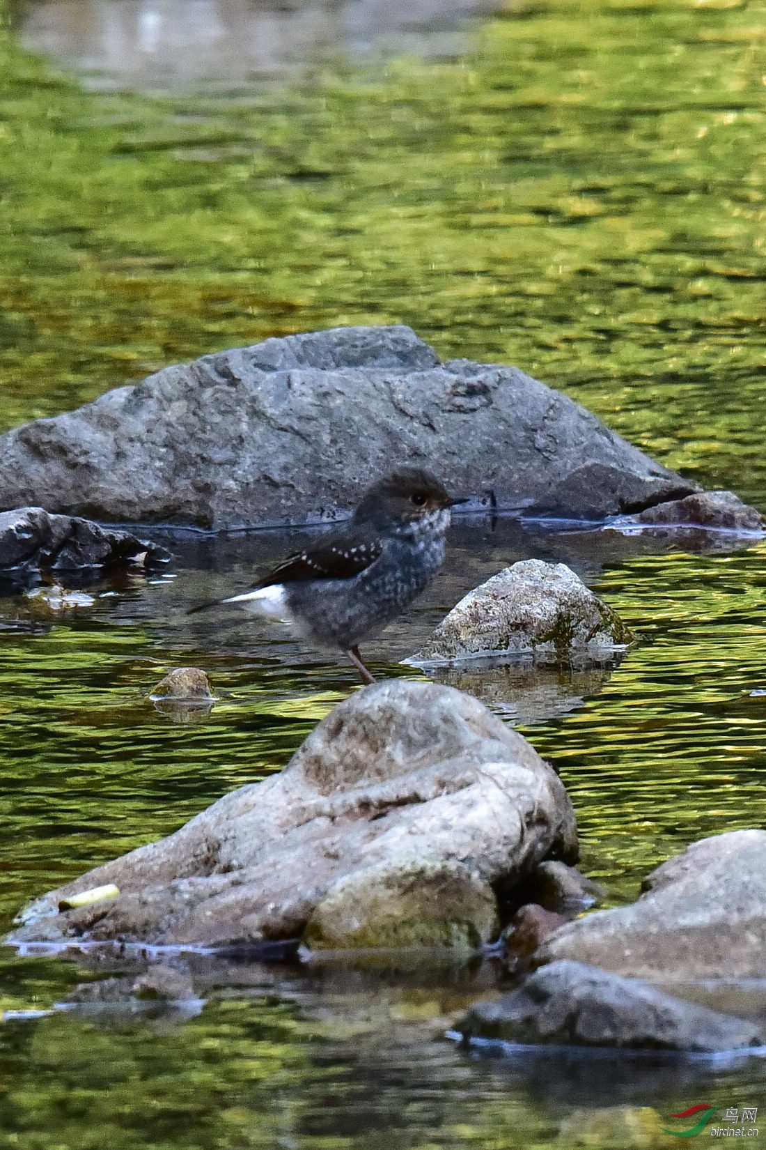 DSC_0960.JPG