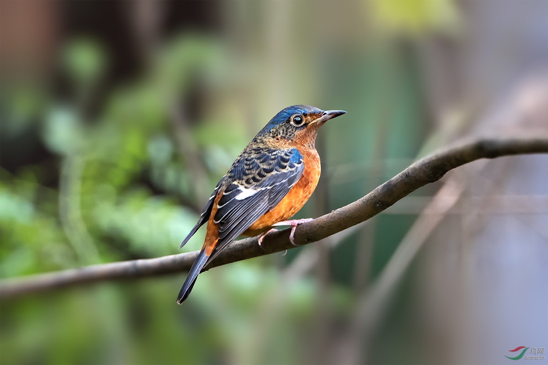 _DSC2841-9-1.jpg