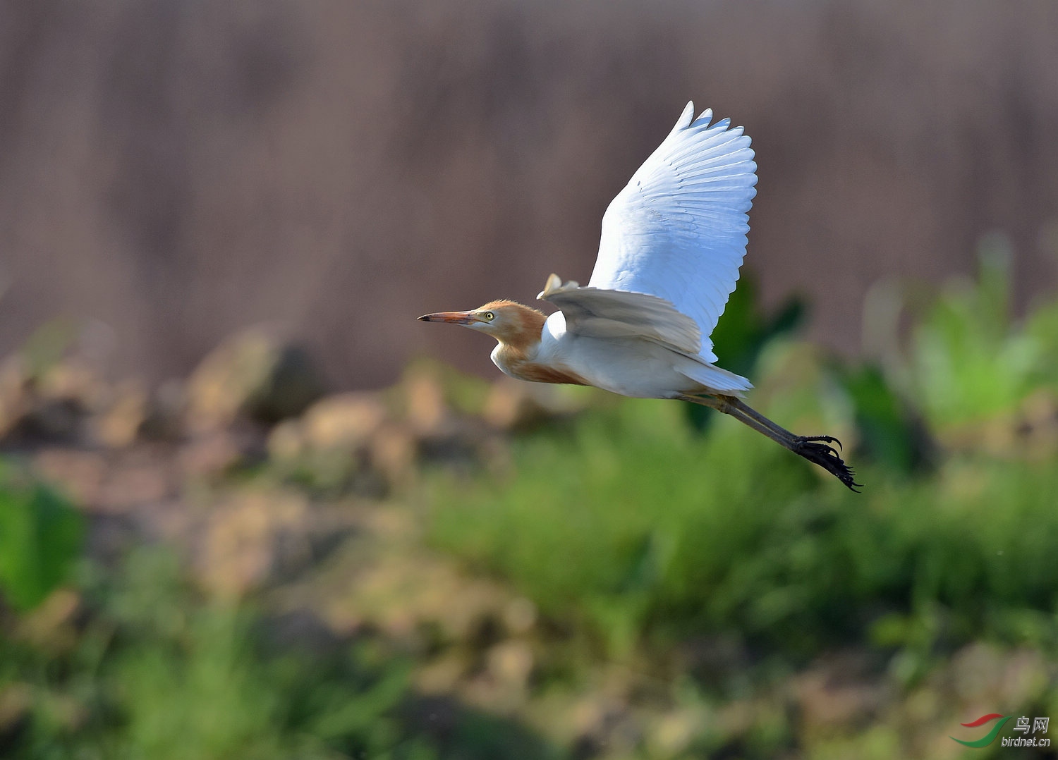 D8I_3755.jpg