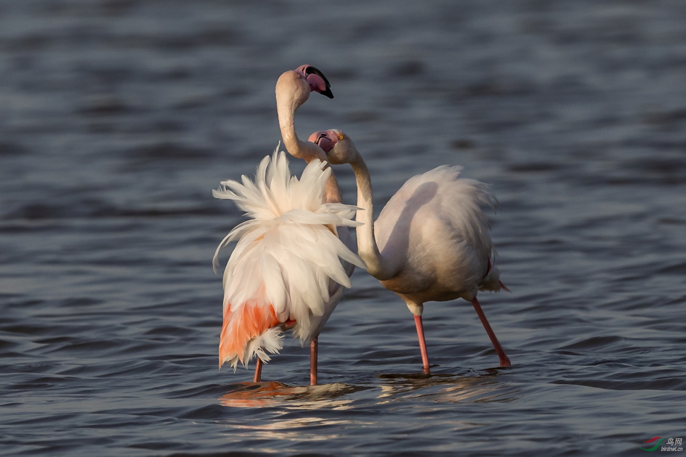 �����ҵ�����