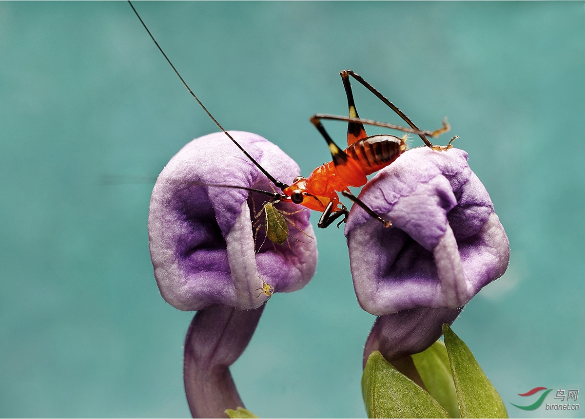 ����  ����