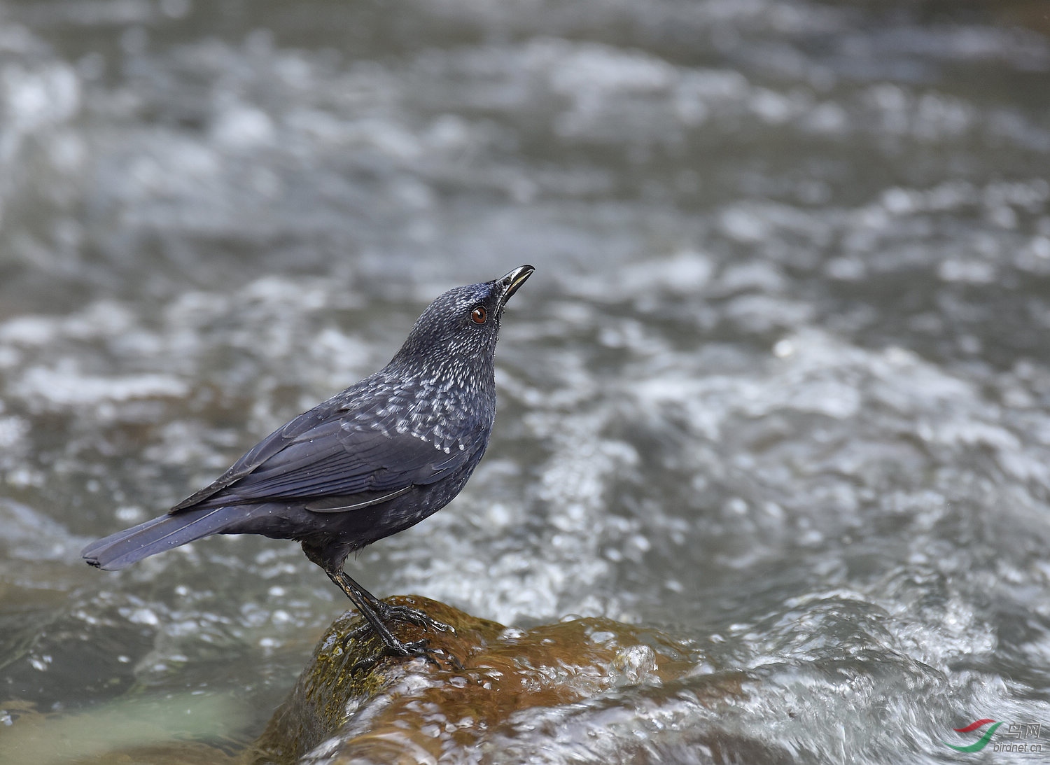 D8I_4045.jpg