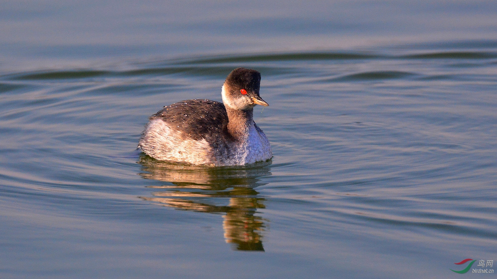 DSC_6390.JPG