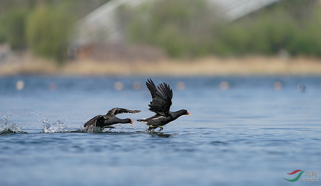 DSC07177-2.jpg