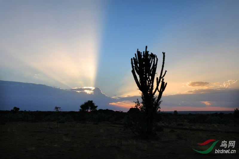 ��������֮ϼ