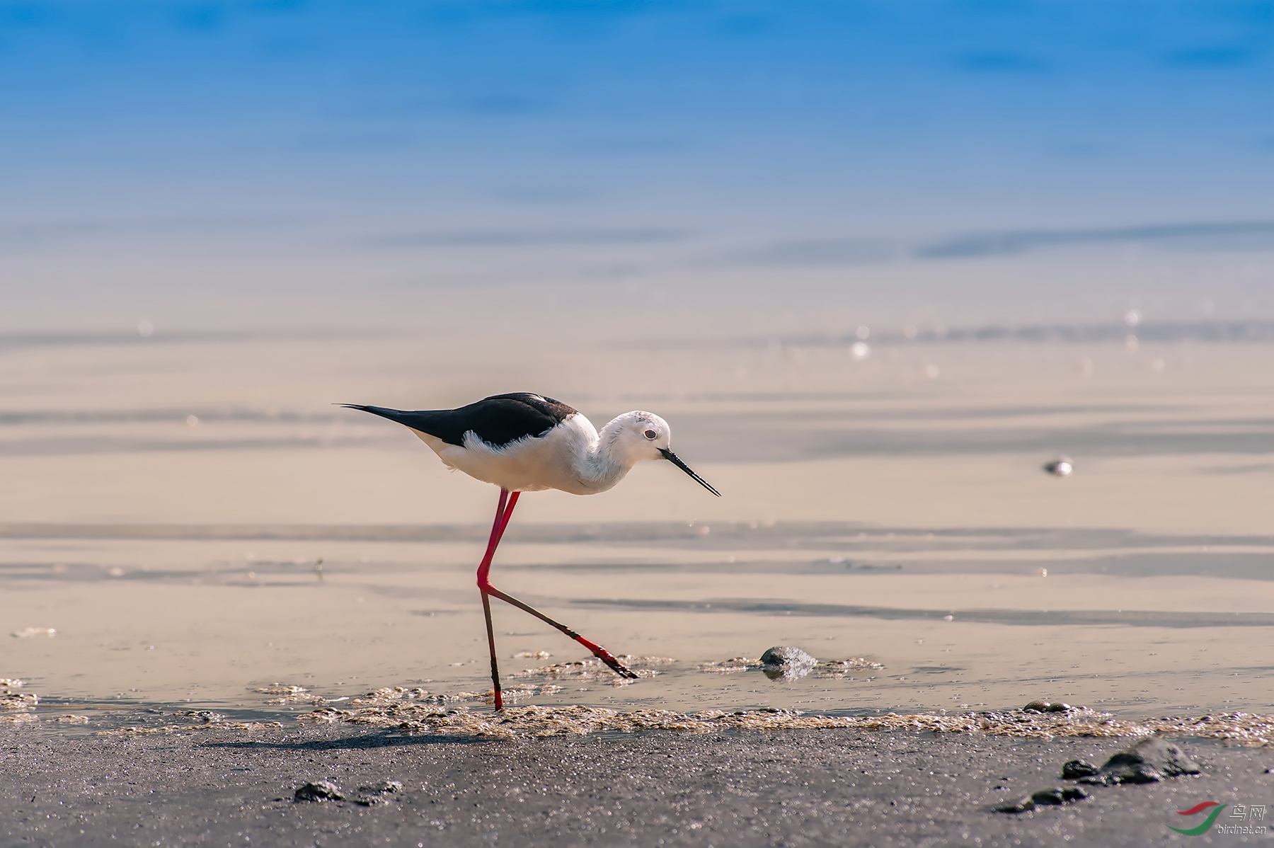 DSC_3448-2JPG����.jpgСͼ.jpg