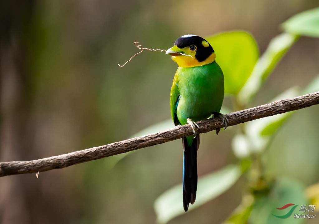 DSC_3327-0.jpg