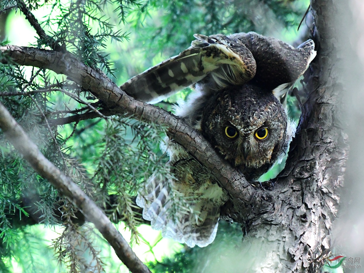 �������^ 662.JPG