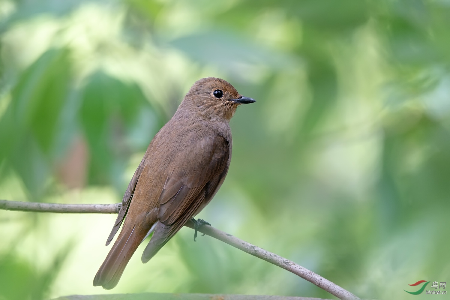 A9D05945a.jpg
