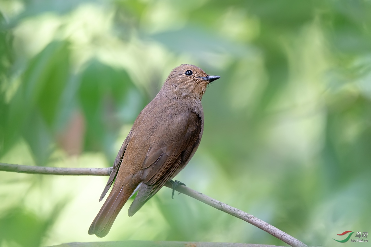 A9D05939a.jpg