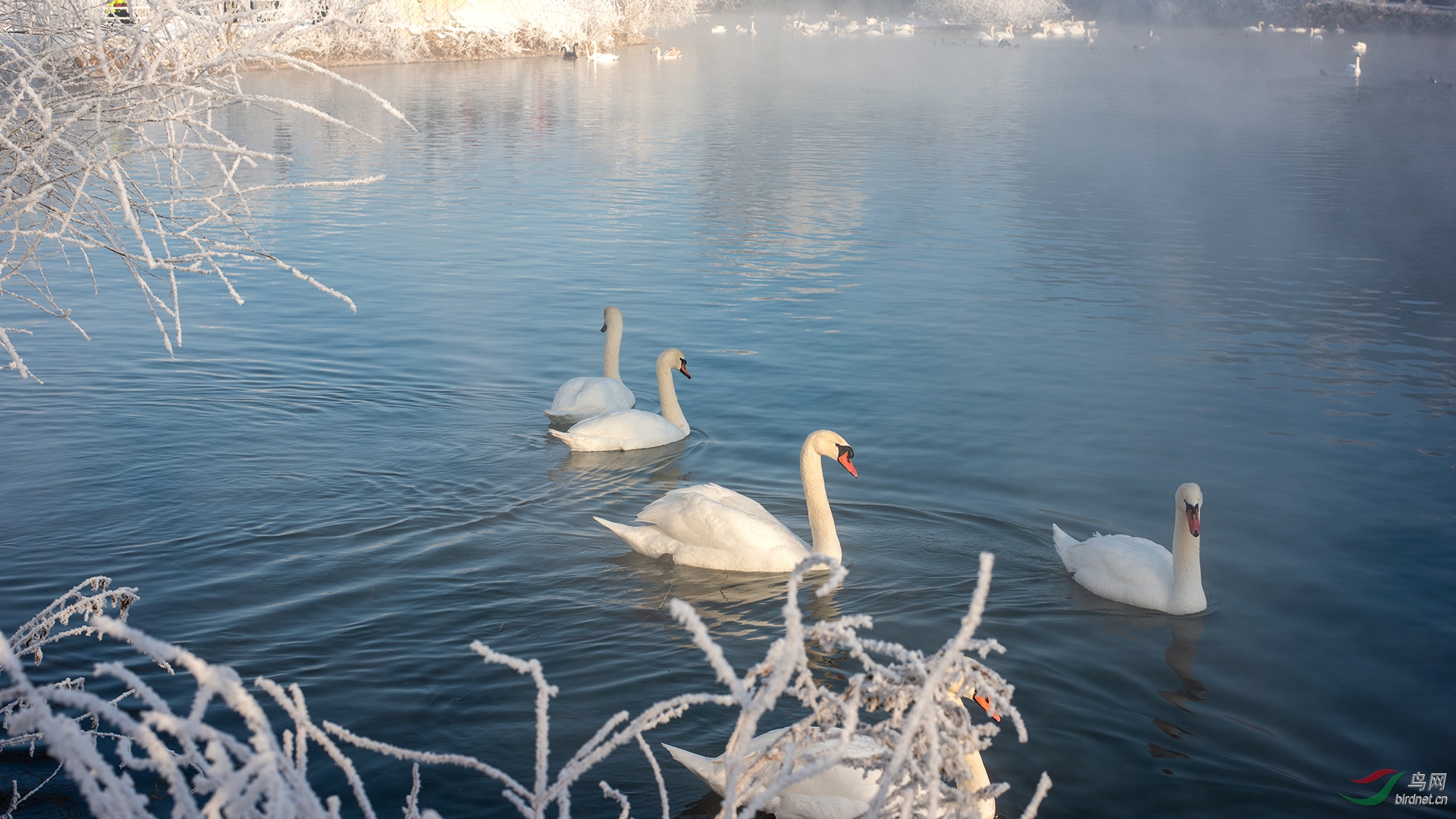 DSC_1323.jpg
