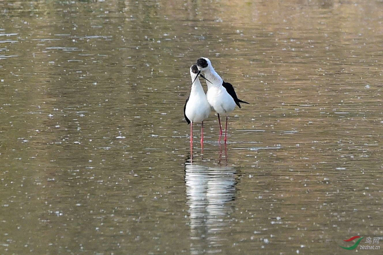 AAA_1702 - ����.jpg