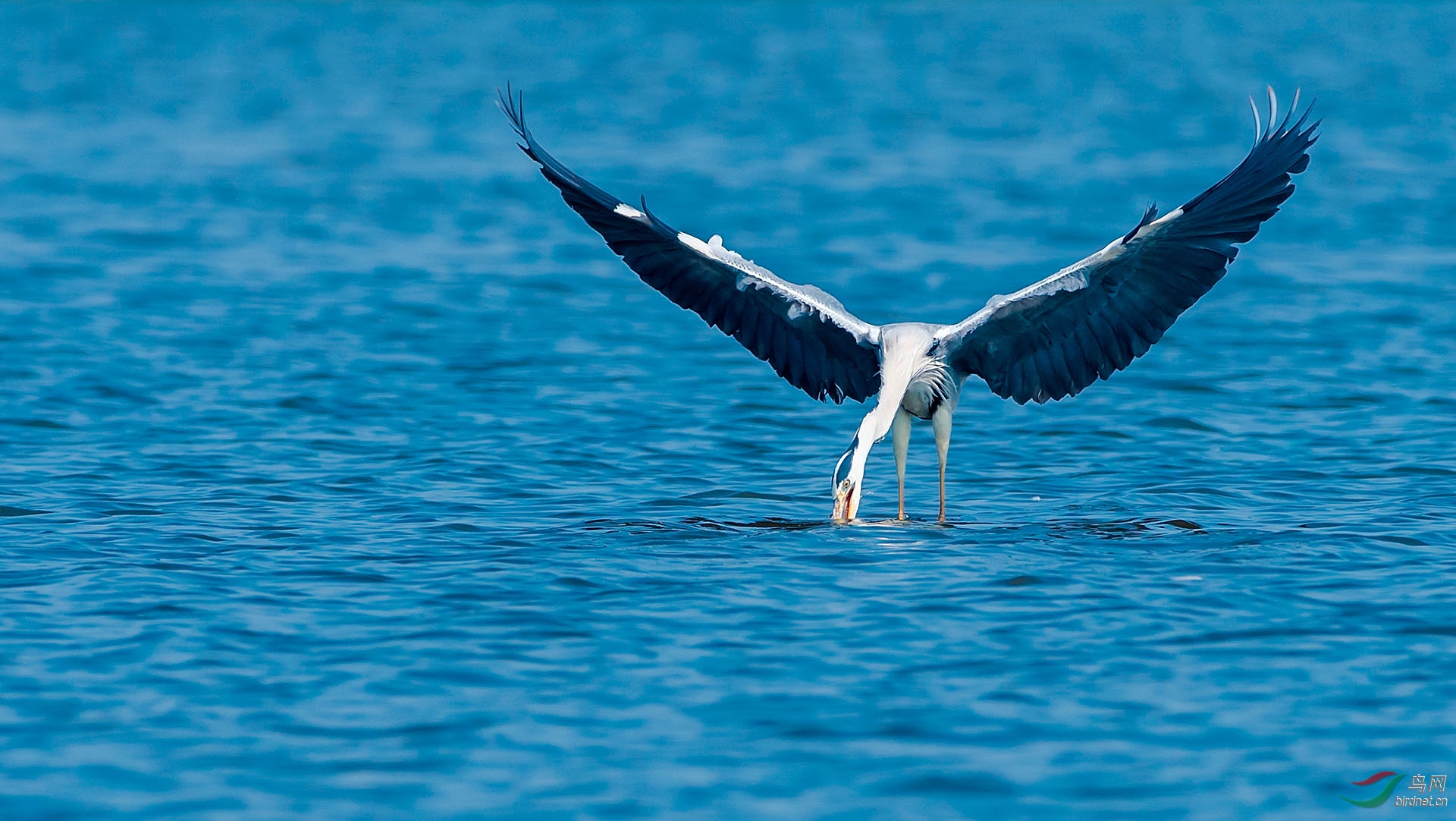 DSC_5646.jpg