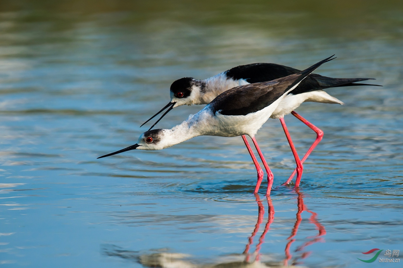 XCG_1437 - ����.jpg