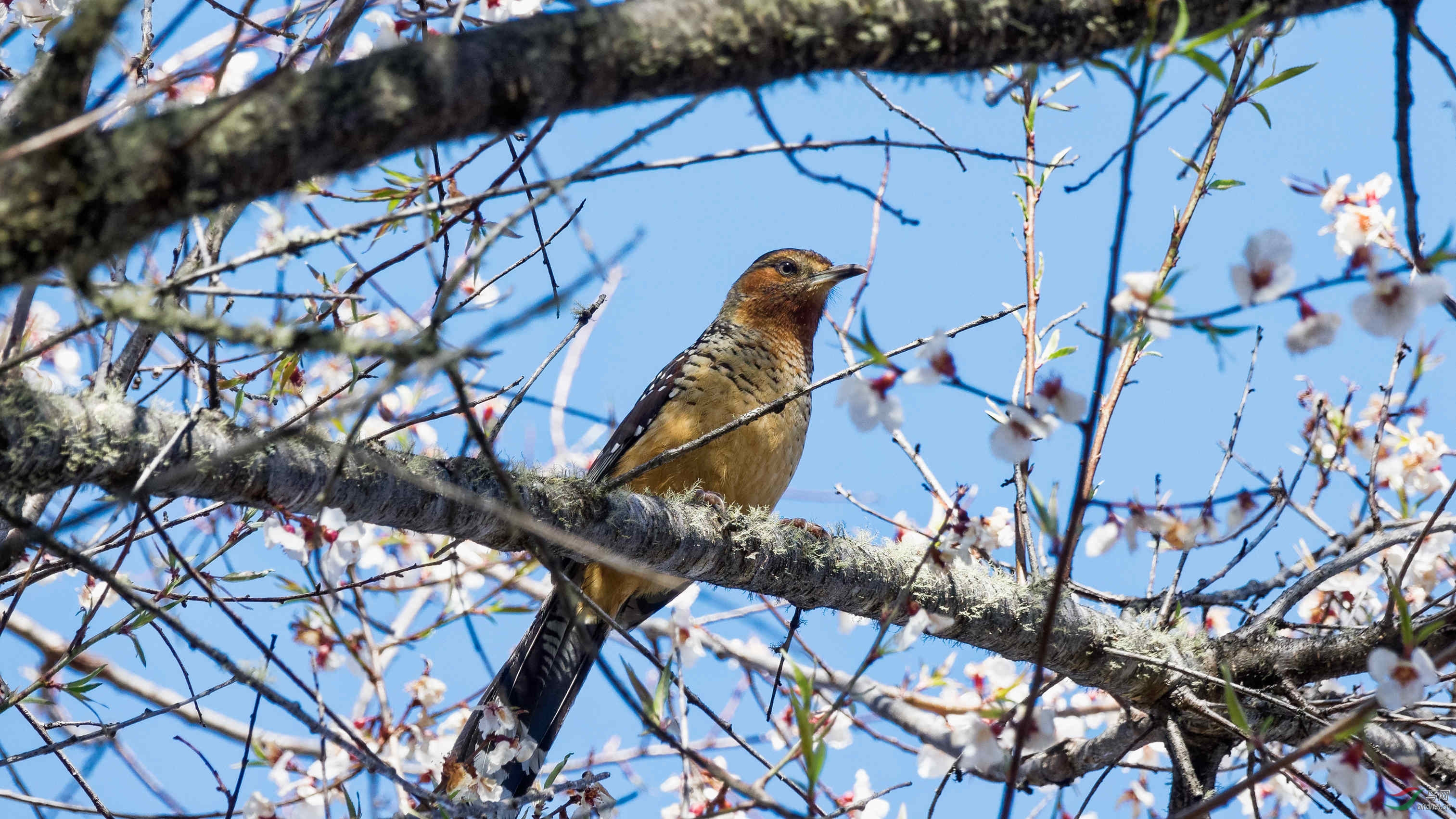 DSC03746_DxO_����.jpg