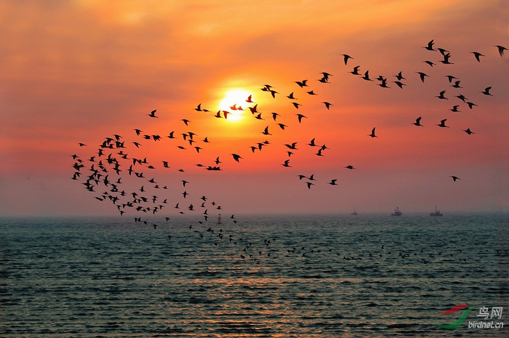 Ǩ��·�ϵ����շ���