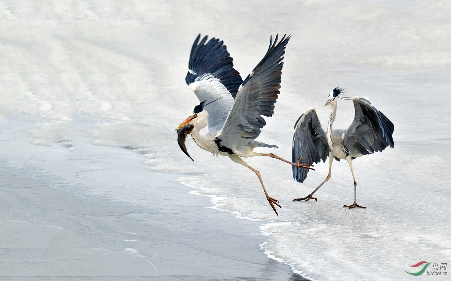 DSC_4728.jpg