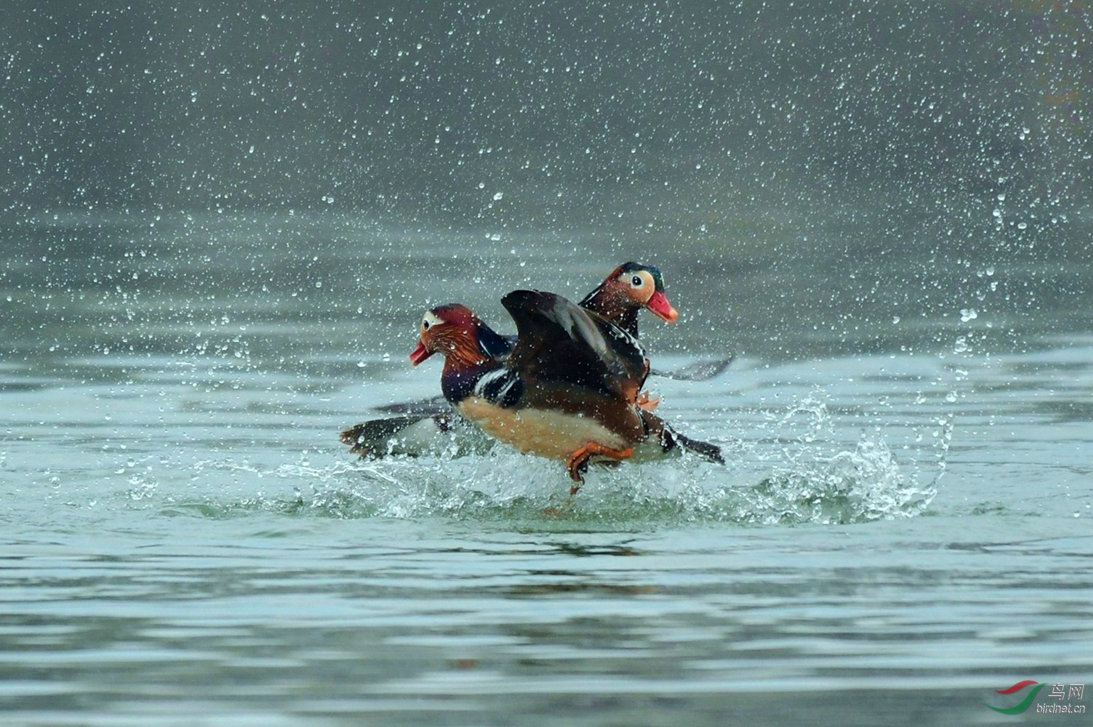 ��ͷǱѼ 122.JPG