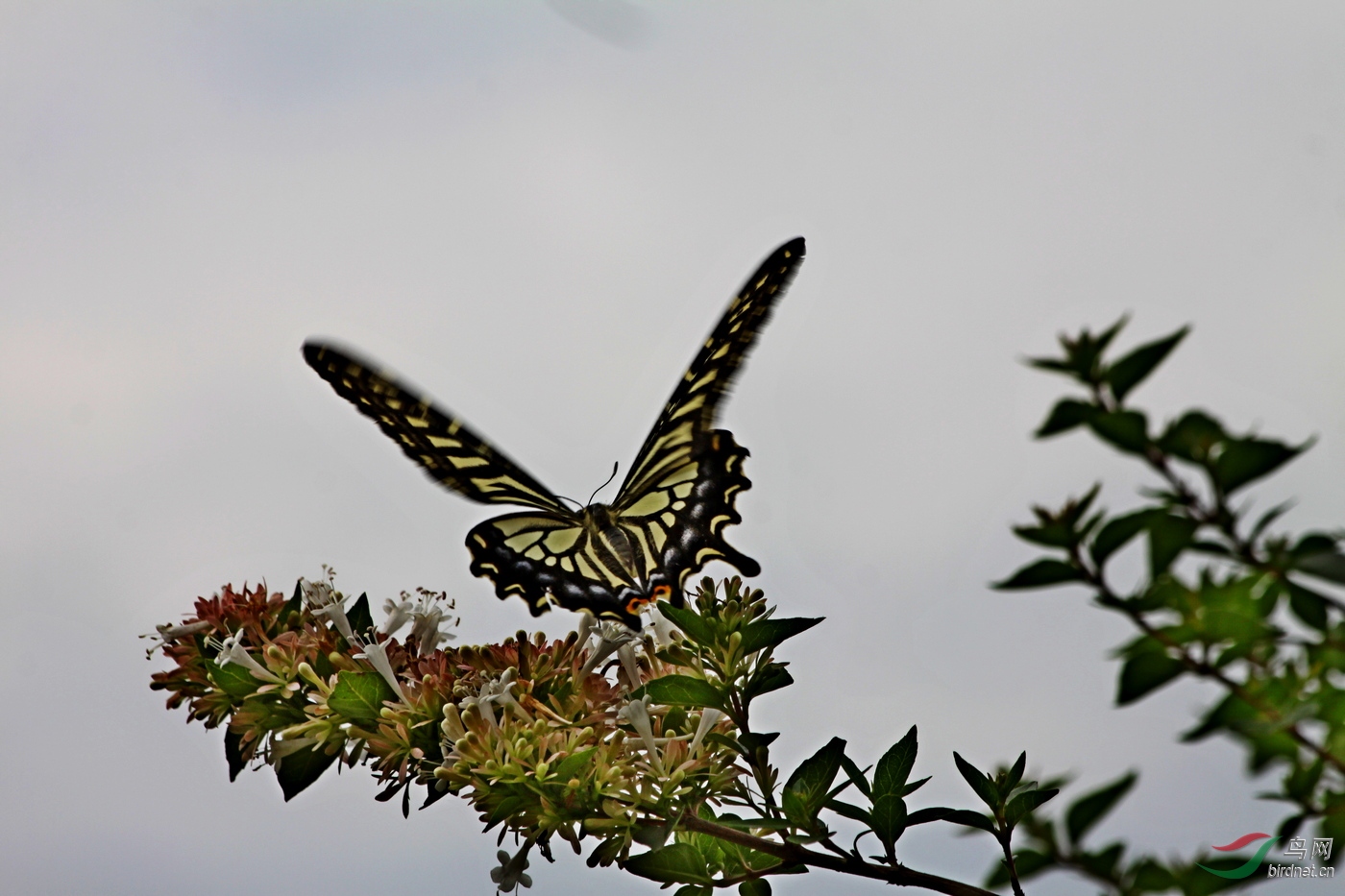IMG_7355.jpg