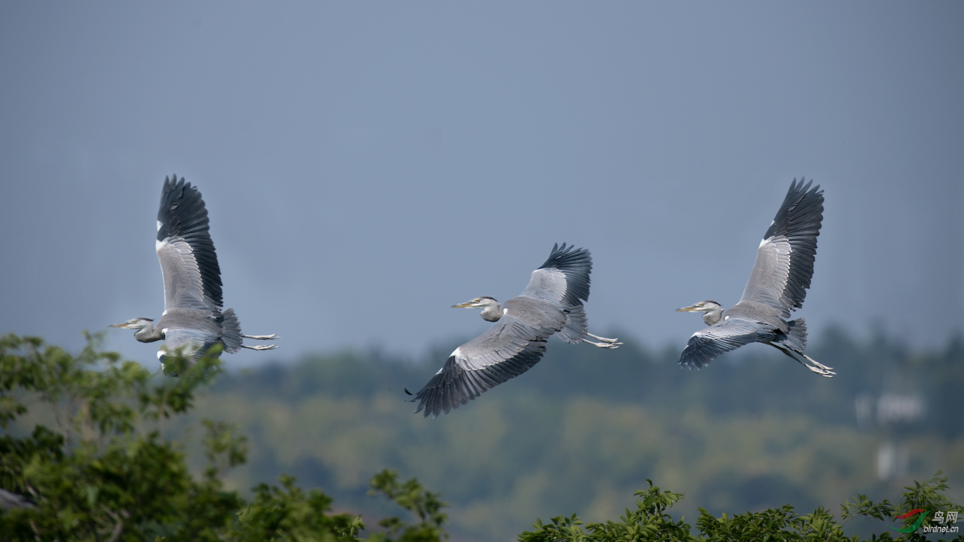 DSC_5207-3_1.JPG