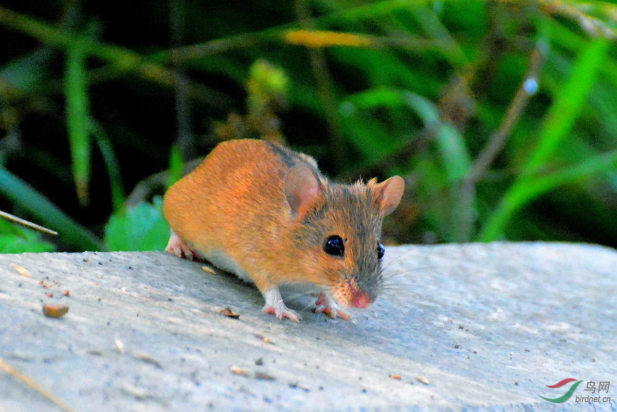 DSC_3698.JPG